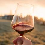 La Route des Vins
