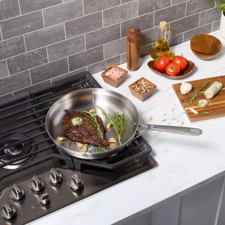 Motion Stainless Steel Fry Pan