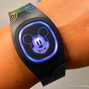 Disney Magic bands