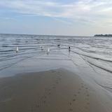 West Haven Beach