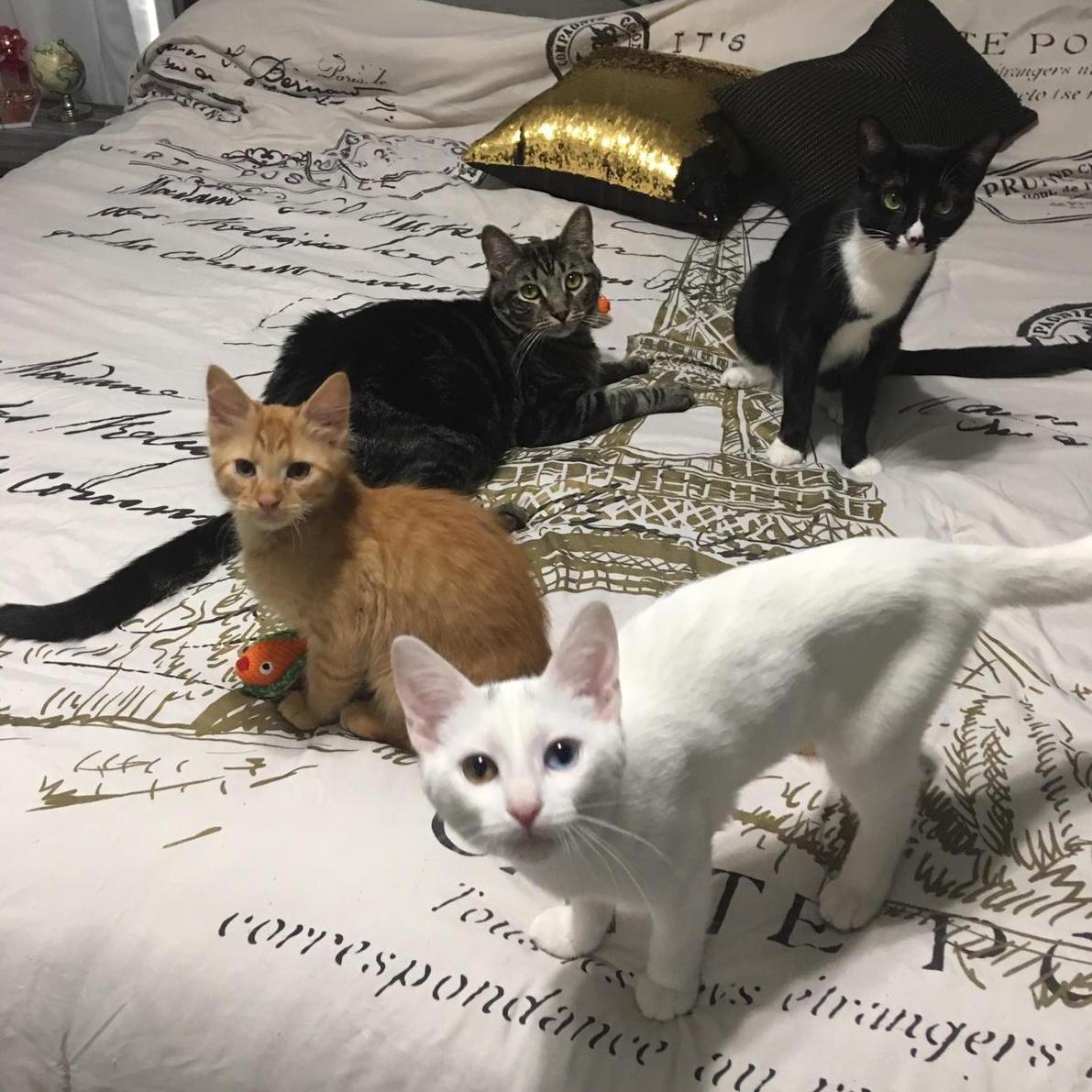 Before we knew it, our family grew