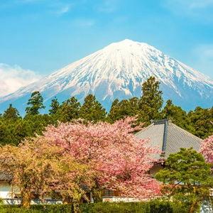 Honeymoon Fund- Japan Trip