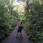 El Yunque