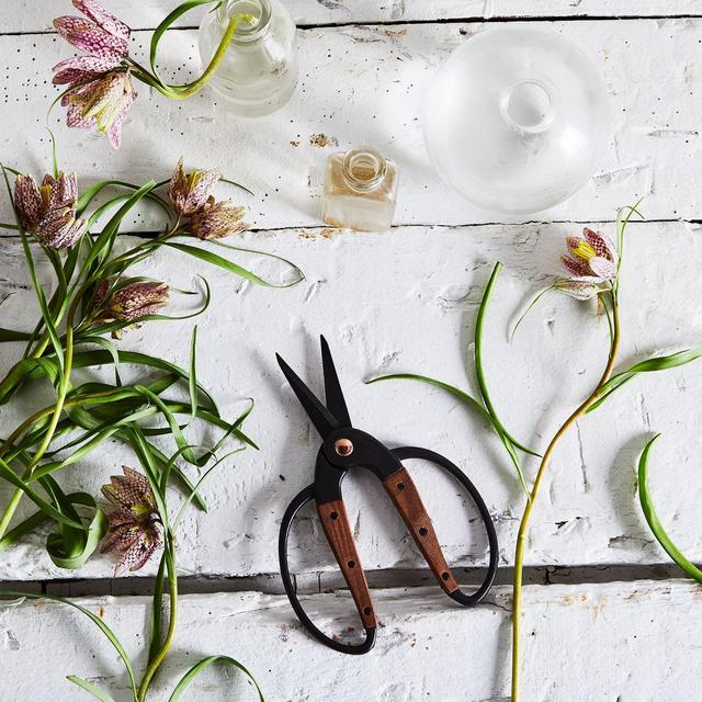 Barebones Living Japanese Walnut Garden Scissors