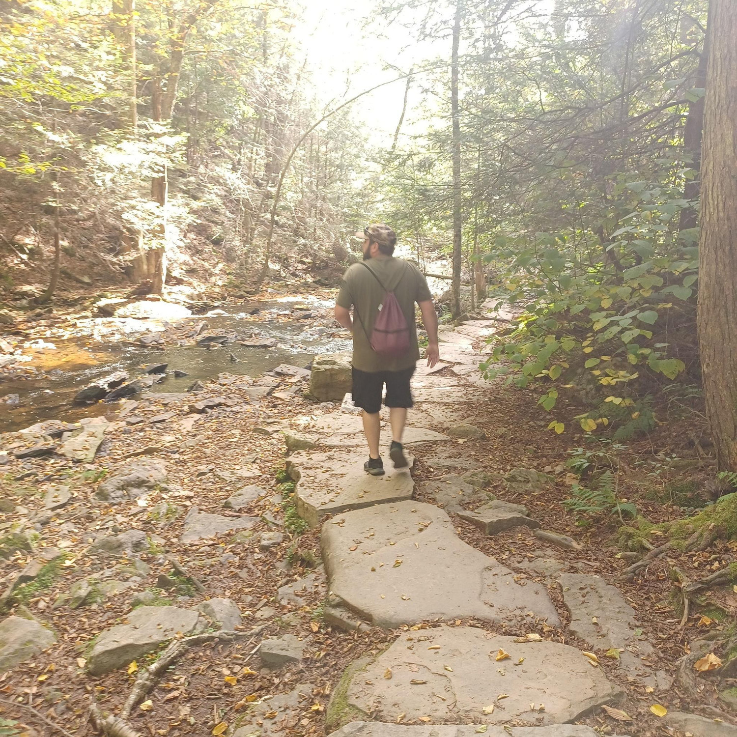 Rickett's Glen