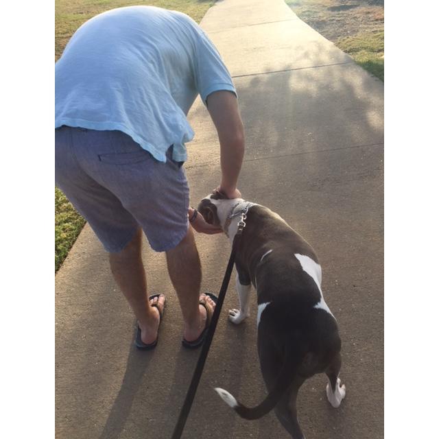 A man and his dog