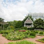 The State Botanical Garden of Georgia