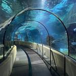 Aquàrium Barcelona