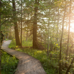 Glacial Hills Pathway and Natural Area Trailhead