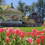 Peddler's Village