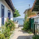 Cap Ferret