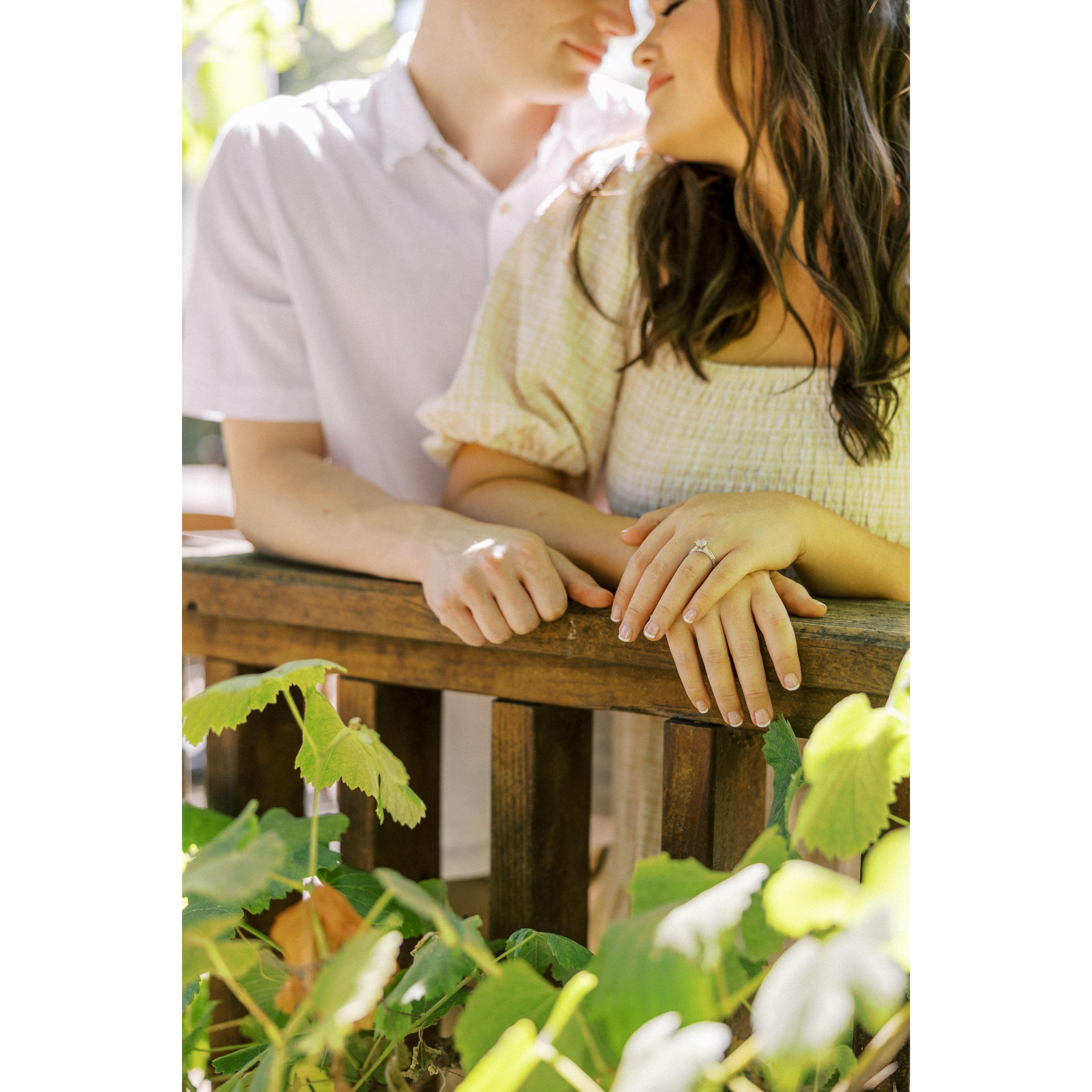 Engagement Photo