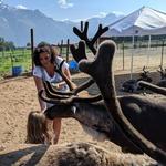 Reindeer Farm