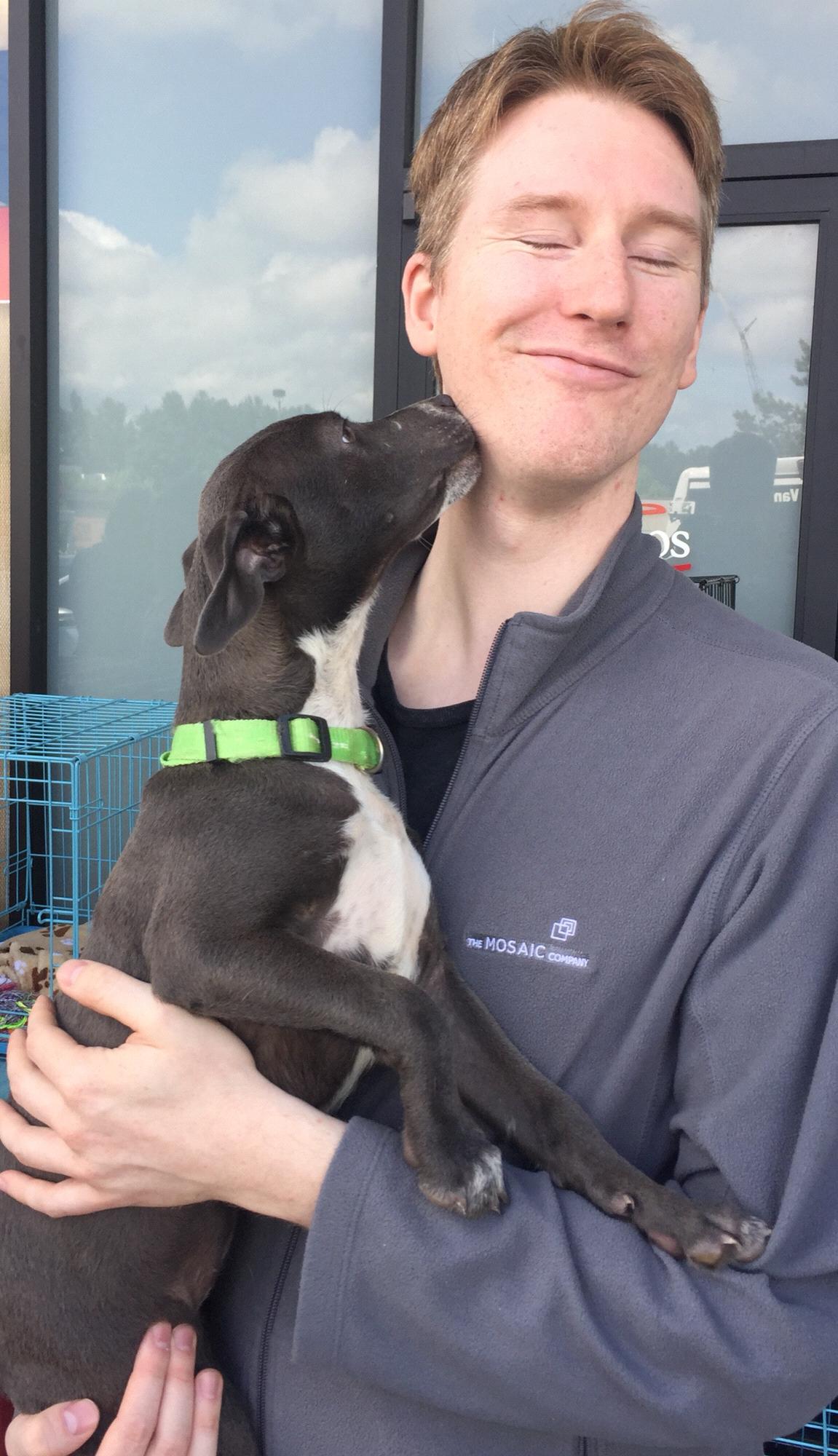 Adoption day! Sammy quickly became a huge part of our family!