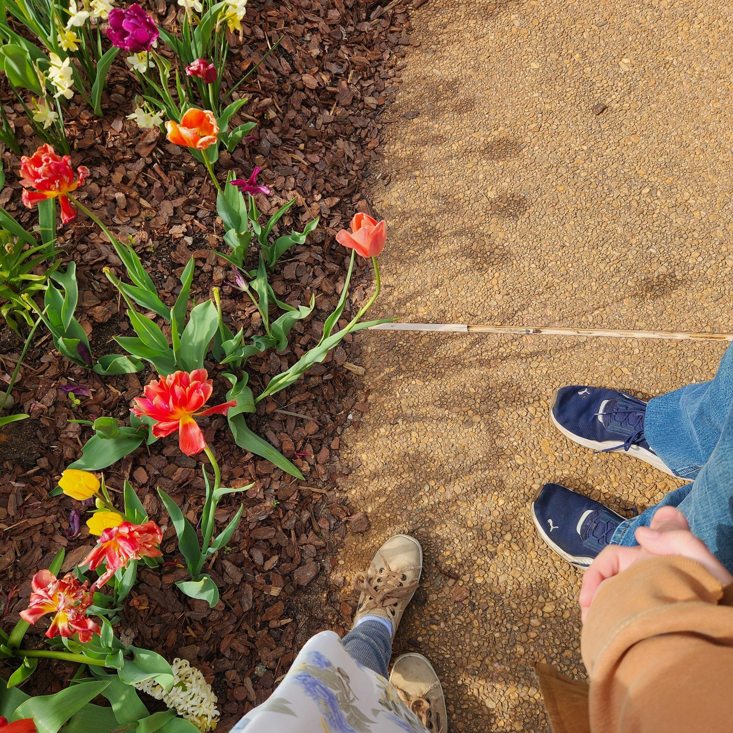 at the Atlanta Botanical Gardens