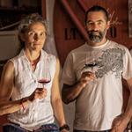 Wine Tour & Olive Oil Tasting on Estate