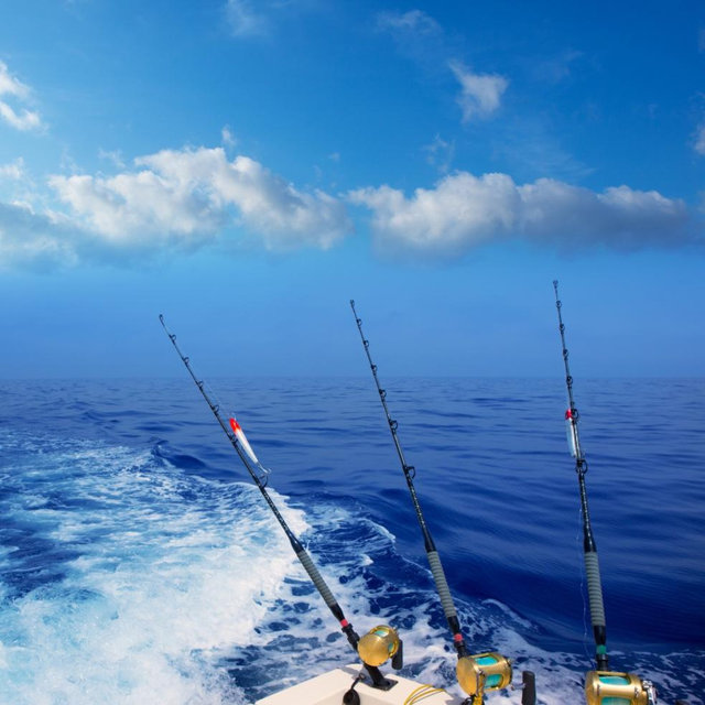 Deep Sea fishing
