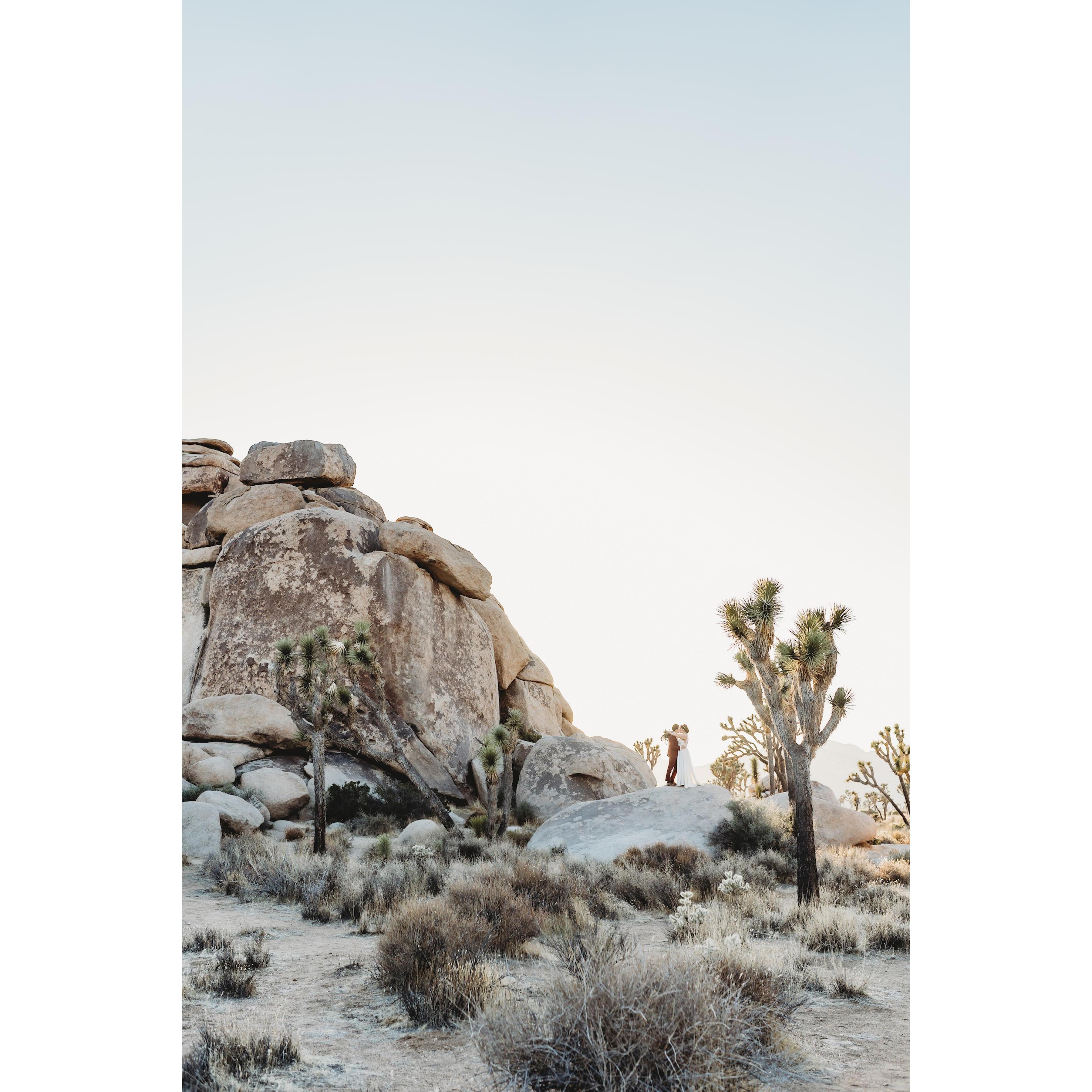 The Joshua Tree is known to be a symbol of strength, endurance, and new beginning. It felt very fitting to begin our marriage amongst these amazing trees.