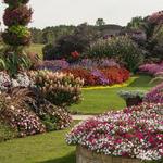 Four Star Greenhouse Display Gardens