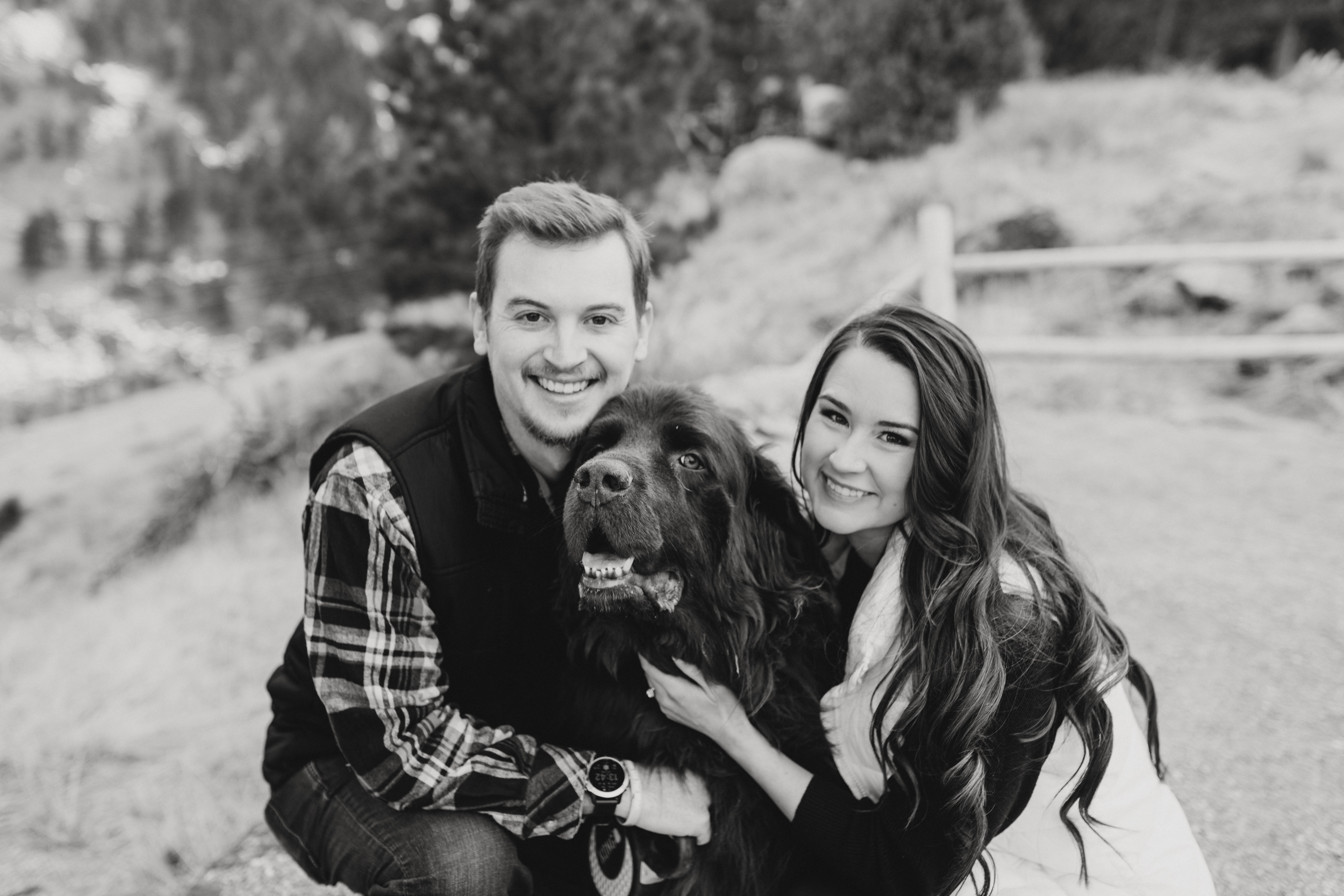 cd804dee-8c2a-4981-a603-5600e69da630