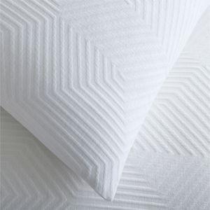 Modern Geo Standard Shams