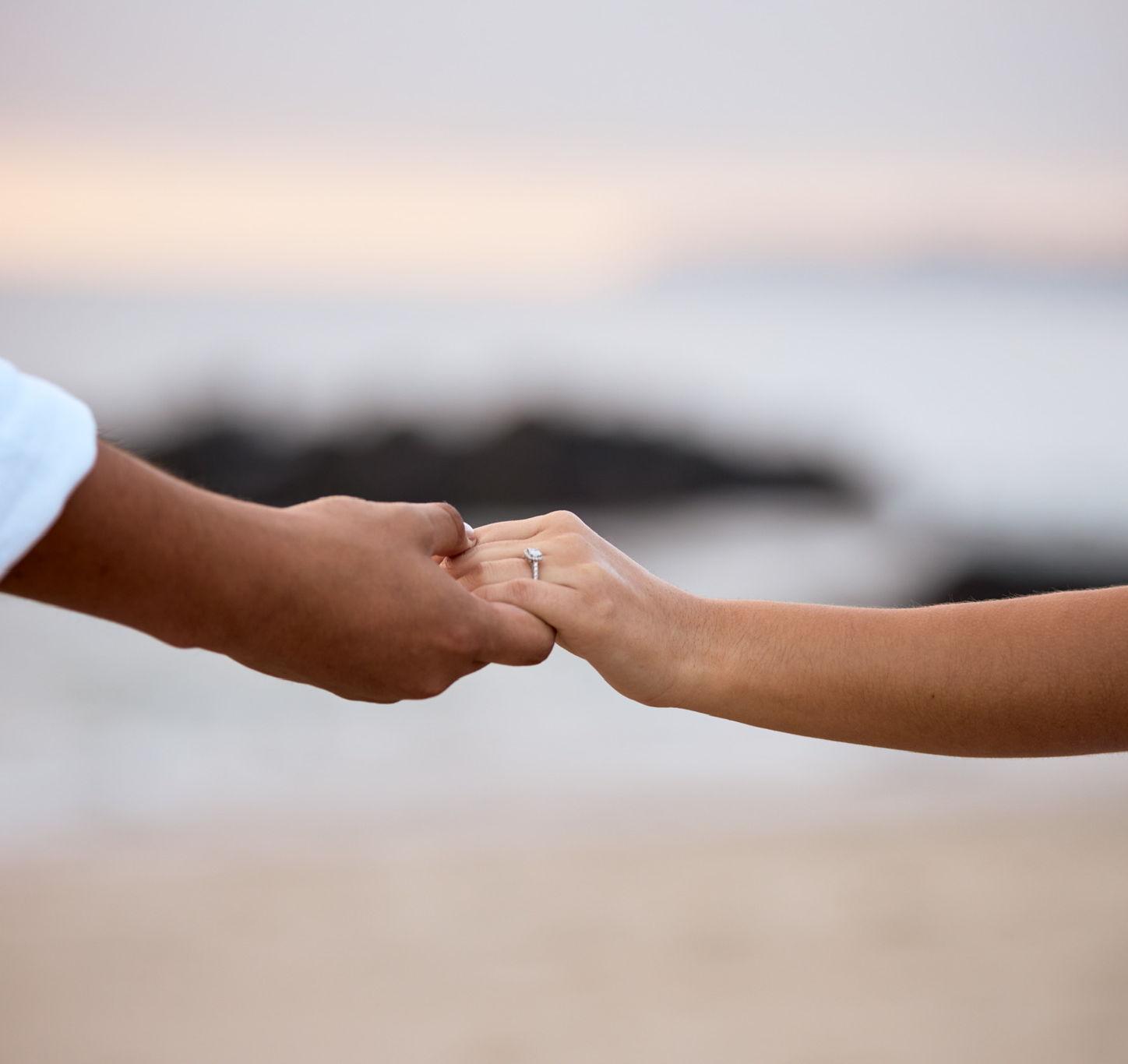 The Wedding Website of Daniel Aguirre and Dina Gonzalez