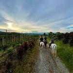 Horseback Riding