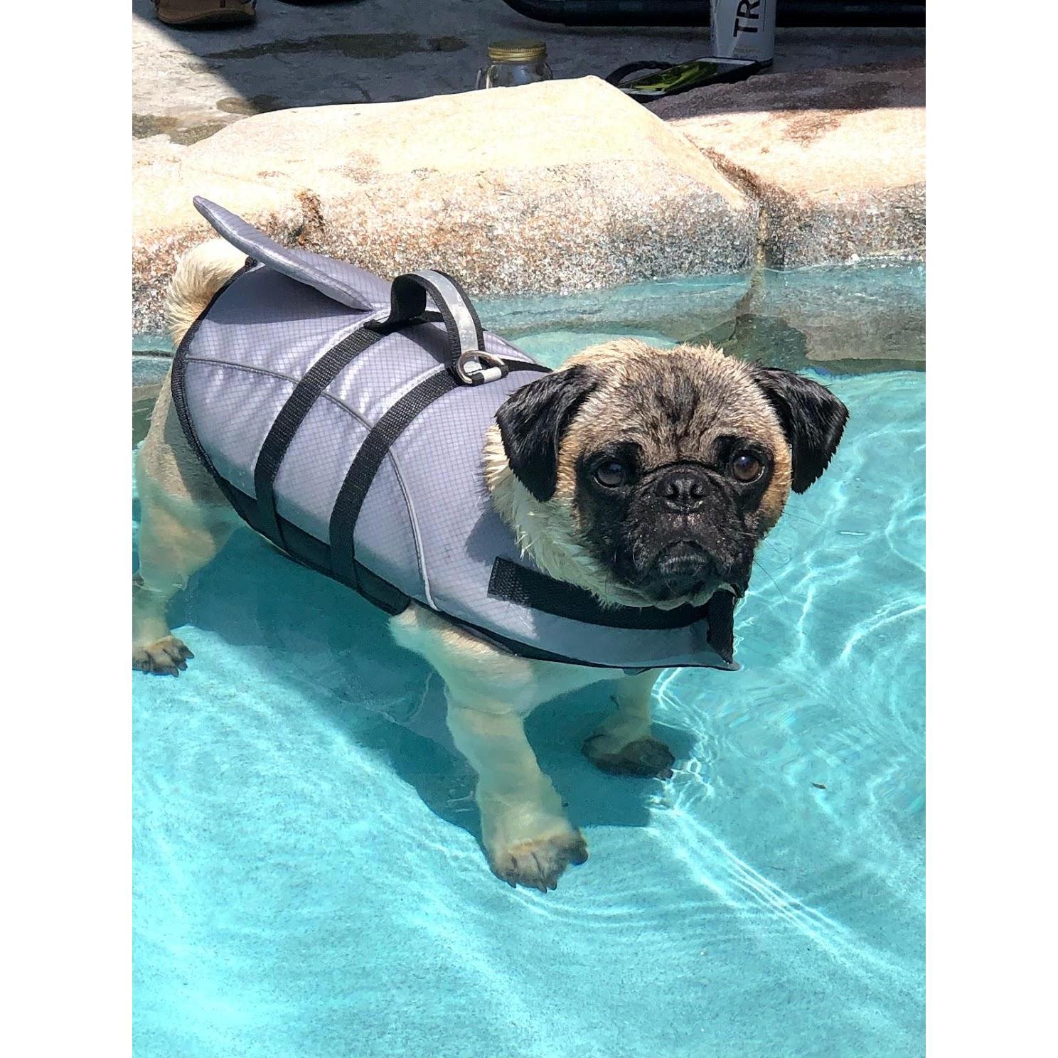 Wilson 2019