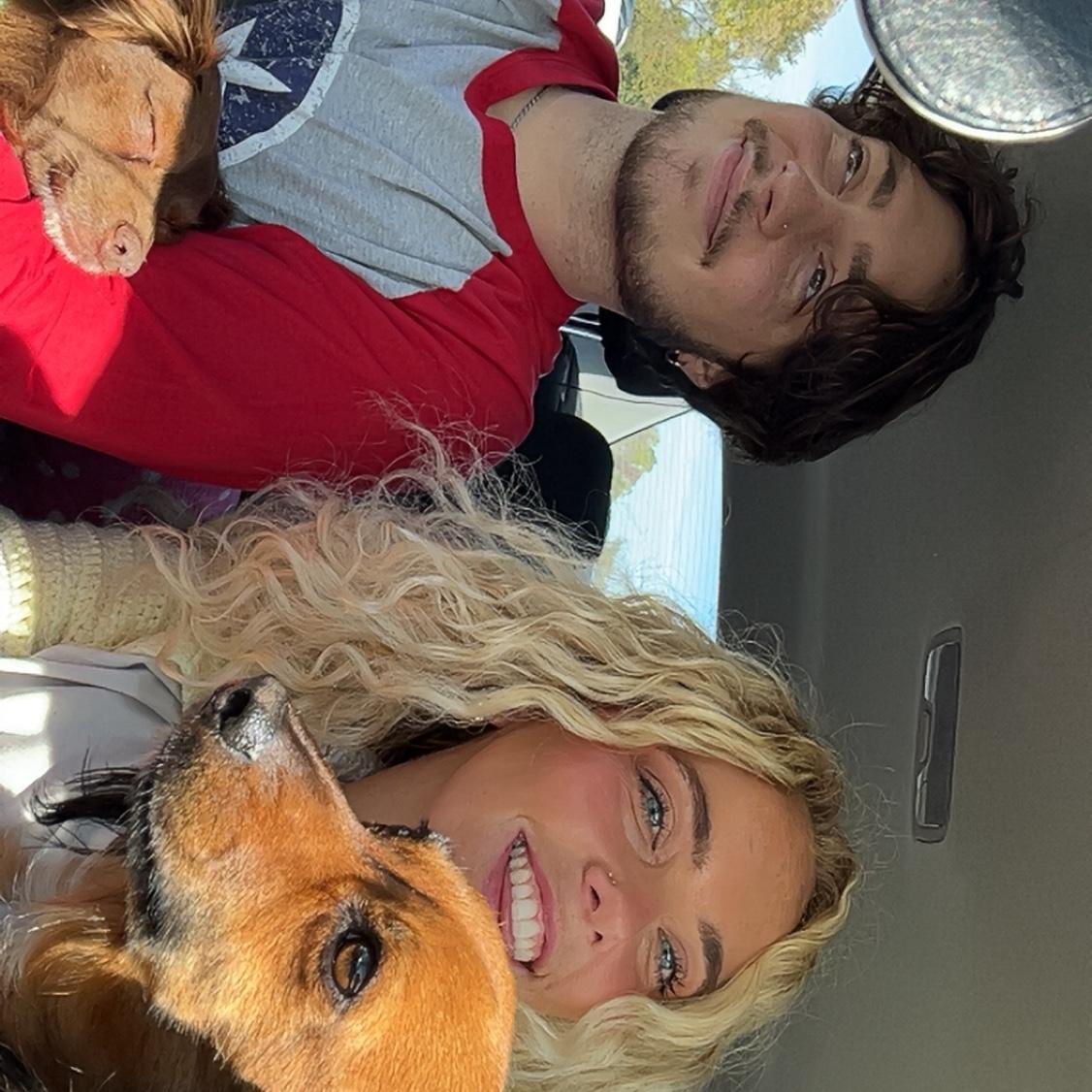 Just us and the doggies