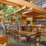 Colectivo Coffee Bay View