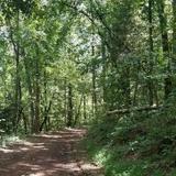 Bradley Nature Preserve at Alexander's Ford