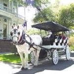 Horsedrawn Tours Wilmington, NC