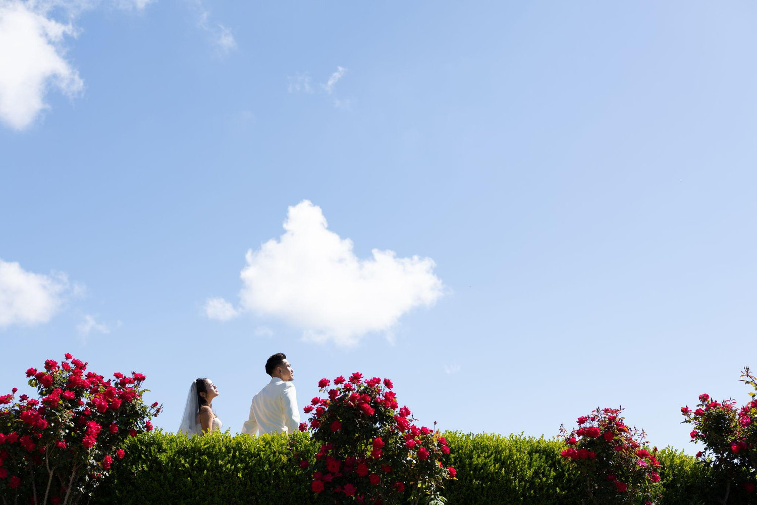 The Wedding Website of Dorothy Tran and Jimmy Cao
