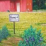 HEMI Blueberry Farm (By Appointment Only)
