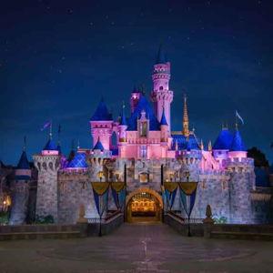 Disneyland Honeymoon Fund