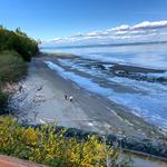 Saltair Beach Park