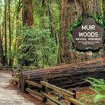Muir Woods National Monument
