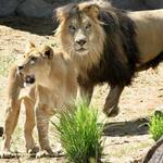 Denver Zoo