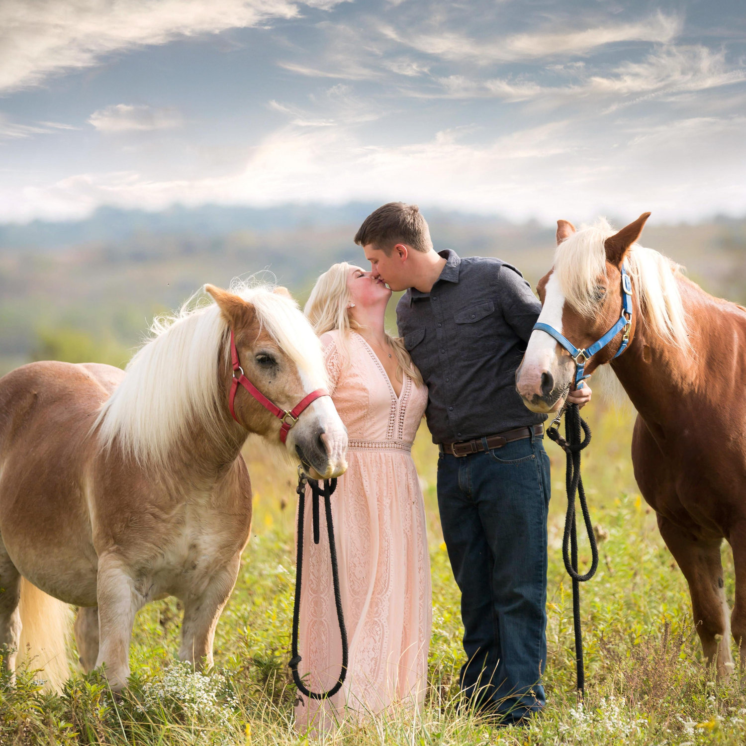 Our favorite horses from the Wilds- Juggs and Tex!