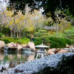 The Japanese Friendship Garden of Phoenix