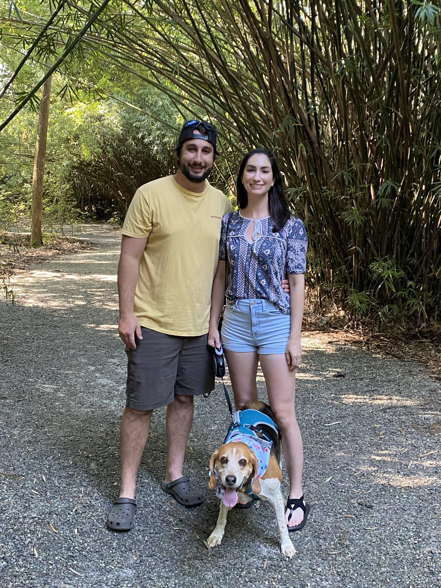 cd9328fb-9e96-4976-98a0-33cfebea2f99