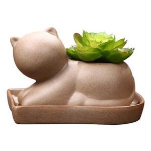 GeLive Succulent Planter Decorative Ceramic Plant Flower Pot with Tray Saucer (Pottery Cat)