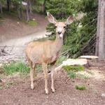 Rocky Mountain National Park