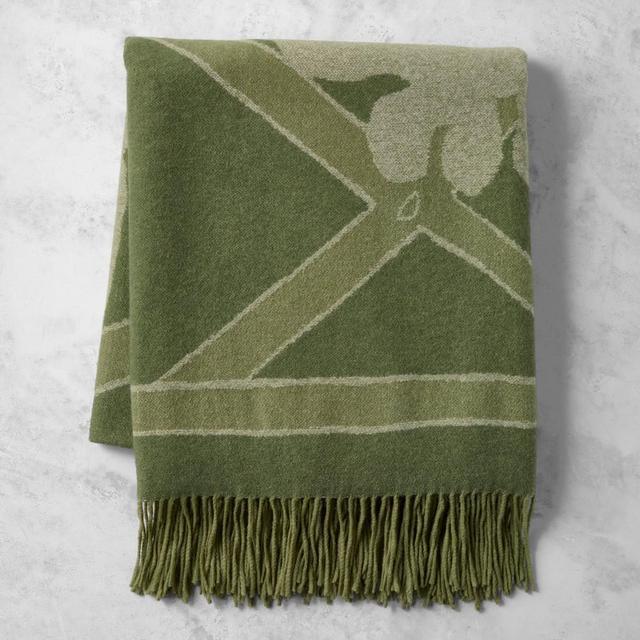 Williams Sonoma Home x Josh Young Emmeline Cashmere Throw