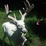 Shalom Wildlife Zoo
