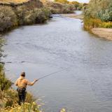Fly Fishing