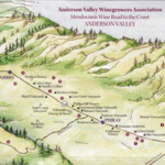 Anderson Valley - Route 128 wine road