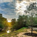 Terry Hershey Park