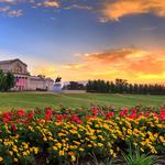 Forest Park