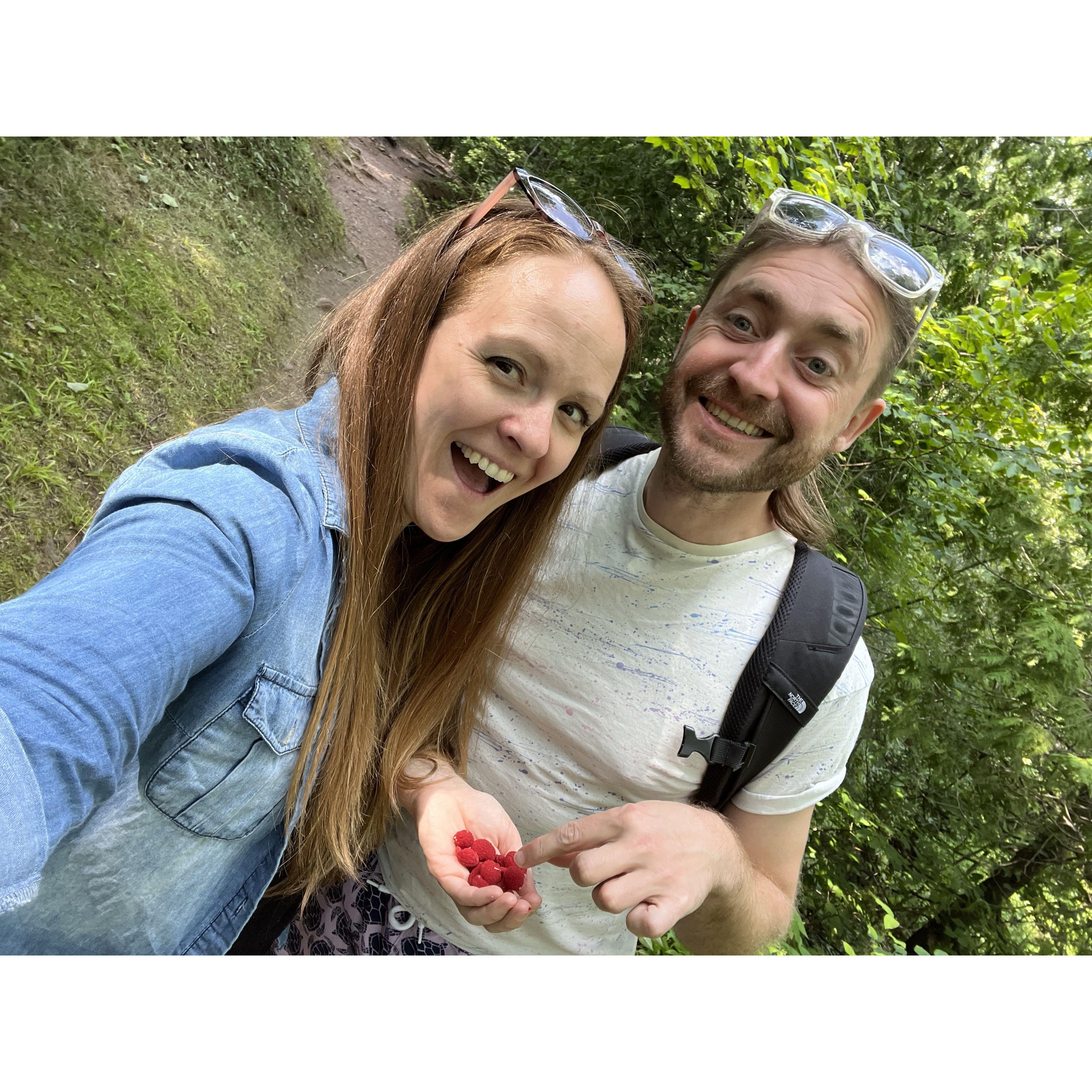 Foraging for thimbleberries